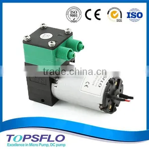 Diaphragm High Air Pressure Freshener Diffuser Pump thumbnail-1