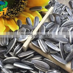 Cheap's New Good Sunflower Seed 5009 thumbnail-1