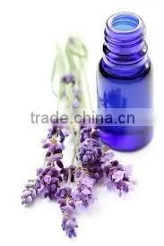 Lavender Essential Oil From Borg Export thumbnail-2