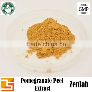 Punicalagins Pomegranate Extract for 40% Punicalagins Extract thumbnail-6