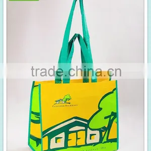 Fashion Shopping Bag on Sale,nice Bag ,pp Woven Bag thumbnail-2