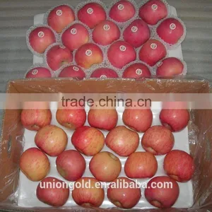 Chinese Fuji Fresh Red Apple thumbnail-2