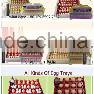 Fully Automatic Egg Incubator/egg Turning Motor/egg Turning System/egg Turner/motor for Incubator (whatsapp : +86 159 6597 7837) thumbnail-5