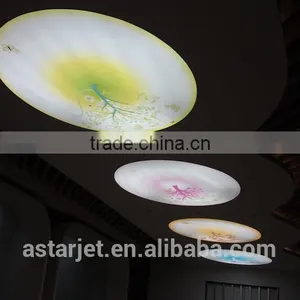 3.2m DX7 Head AStarjet Large Format Printer For Light Box and Strech Ceiling Film thumbnail-2