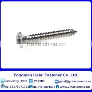 Stainless Steel Self-Tapping Screws With Cross Recessed Pan/ Countersunk Head/raised Countersunk Head ,DIN933/931 H.D.G thumbnail-3