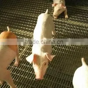 Pig Mesh Crimped Wire Mesh,Breeding Net thumbnail-1
