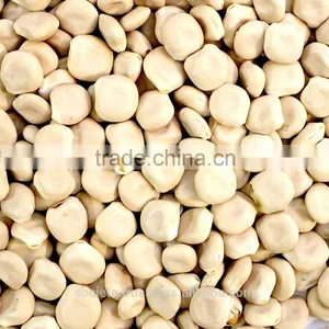 Australian Hamburg Lupins thumbnail-1