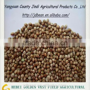 2015 Whole Hemp Seeds Good Grade thumbnail-1
