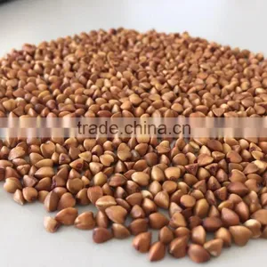 2016 Crop ---Roasted Buckwheat Kernels thumbnail-3