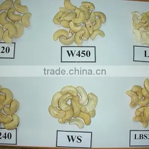 Dried Style Vietnam Cashew Nuts/ Cashew Kernels Ww240/ Ww320/ Ws/ lp thumbnail-1