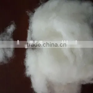 NEW! 2014 the Cheapest Price of Carded Sheep Wool thumbnail-1