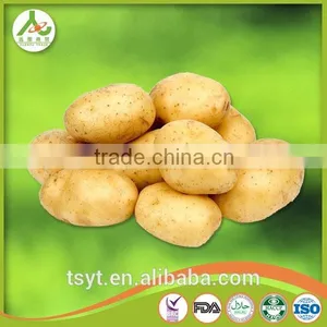 Best Quality Fresh Irish Potatoes Potato thumbnail-3