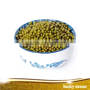 Green Mung Beans After Sleceted thumbnail-1