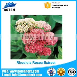 New Design Total Rosavin Rhodiola Rosea for Medical Use thumbnail-6