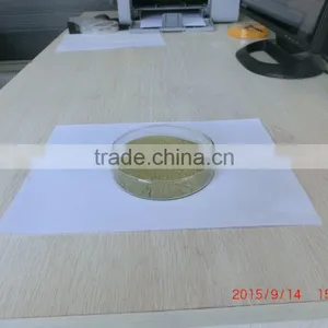100% Natural Fruit and Vegetable Powder Manufactuerer Supply Spray-dried Broccoli Instant Powder thumbnail-2
