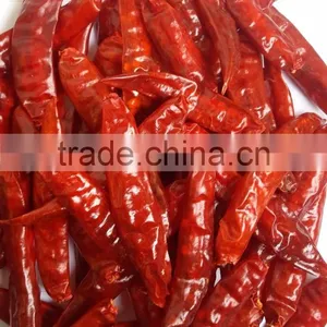 Exporters of Sanam Chilli/S 4 Chilli/S 334 Chilli thumbnail-3