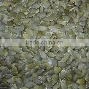 New Crop Pumpkin Kernels AA thumbnail-1