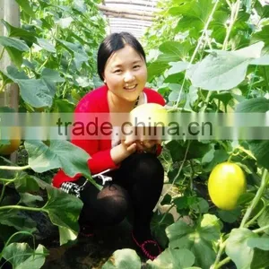 Liquid Chitosan Pesticide Fertilizer thumbnail-1