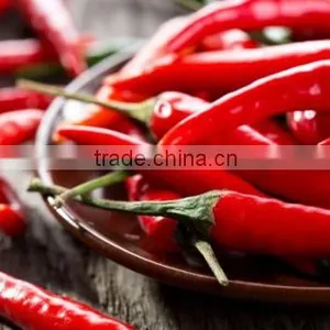 Fresh Chilli- Good Quality Spices for Cooking thumbnail-2