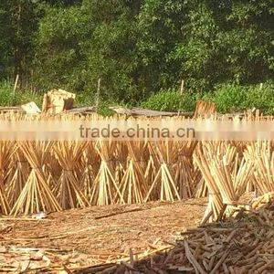 Cheap Wooden Broom VIETNAM Factory ( Contact@kego.com.vn) thumbnail-1