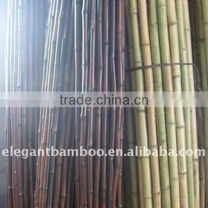Rolled Bamboo Fence thumbnail-1