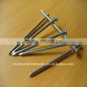 Galvanized Iron Common Nails&common Nail Iron Nail Factory thumbnail-1