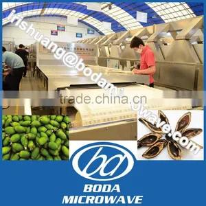 Areca Nut Pinang Microwave Dryer and Puffing Machine thumbnail-1