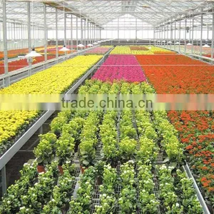 Modern Ventilation System Greenhouse With PC Sheet Covering thumbnail-1