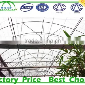 Commercial Tunnel Tomato Greenhouse thumbnail-1