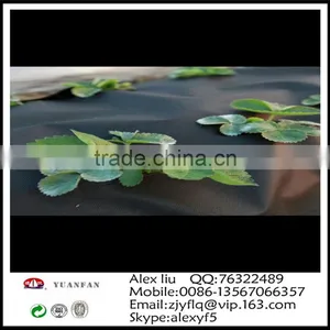 1m*15.24m Gardening Used Non-woven Membrane, the Small Slice Family Pack thumbnail-6