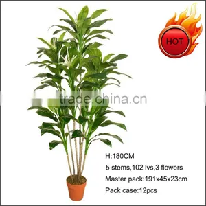 Hot Sale Artificial Green Dracaena Plant Dracaena Tree thumbnail-1