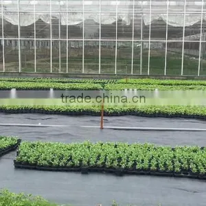 Outdoor Polypropylene Roll Ground Covering Weed Mat thumbnail-2