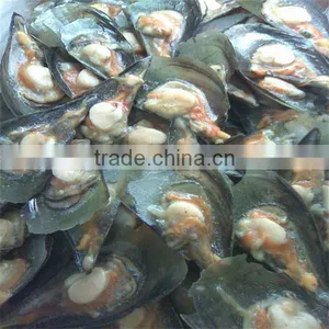 Frozen Fresh Cooking Wild Mussels thumbnail-1