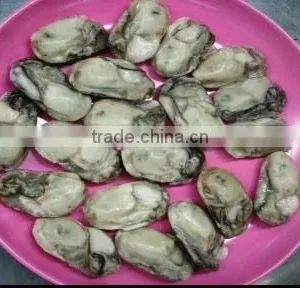 Oyster thumbnail-1