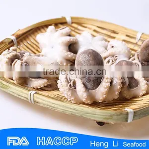 High Quality Price Baby Octopus thumbnail-1
