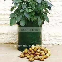Potato Planter Bag thumbnail-1