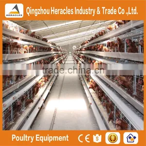 Qingtzhou Heracles High Quality Poultry Egg Layer Chicken Cage Price thumbnail-3