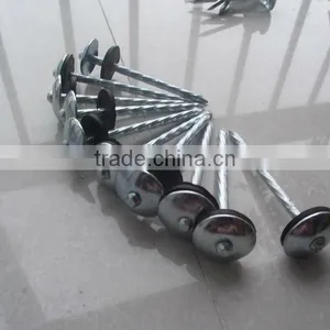 Electro Galvanized Roofing Nail thumbnail-1