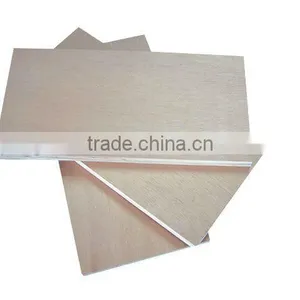 Eucalyptus Plywood thumbnail-1