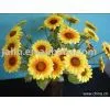 Dried Flower thumbnail-1