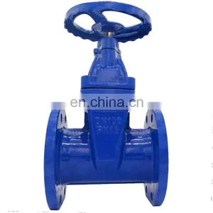 Bundor Natural Gas Gate Valve API 600 Ductile Iron Manual Gate Valve 12 Inch Sluice Gate Valve thumbnail-1