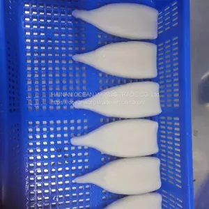 Frozen Squid Tentacles, Tube, T+T QS Squid Ring and Loligo Squid Rings thumbnail-2