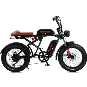 Factory Direct Supply 20 Inch Fat Tire Adult Electric Folding Bike Electric Bicycles thumbnail-4