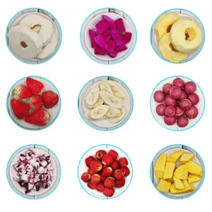 Intelligent Upgrade Freeze Vacuum Drying Machine thumbnail-4