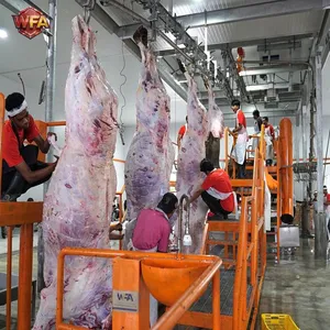 Complete Slaughtering Line Equipment Cow Slaughter Machine Cattle Abattoir Slaughterhouse Plant thumbnail-1