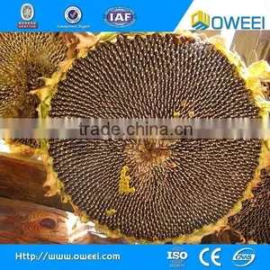 Seeds Dehulling and Separating Machine thumbnail-5