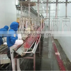 Poultry Killing and Bleeding Line thumbnail-2