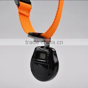 Factory Offer Mini Digital Pet Camera ECO-188 thumbnail-1