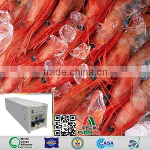 Sea Freight Container Loading Express Delivery Cheap Price Direct Service From China to Fos thumbnail-5
