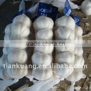 Garlic thumbnail-1